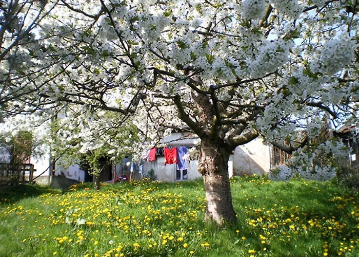 Maisonette Im Hof Krupp Appartement Bruchhausen (Neuwied)
